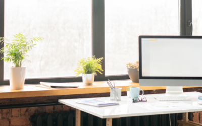 How Windows in the Office Boost Performance