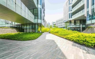 Construction With Wellness in Mind